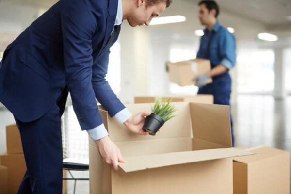 man packing plant in box